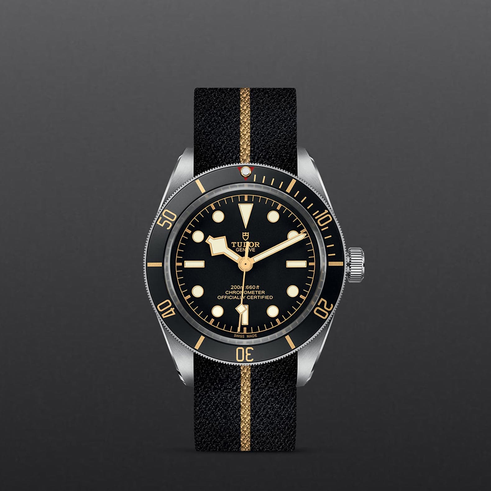 Black Bay 58 M79030N 0003 Tudor Siam Swiss