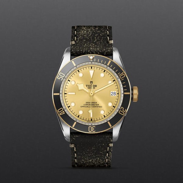 Black Bay | 79733N | Steel and Gold | M79733N-0003 | Tudor Official Retailer - Siam Swiss