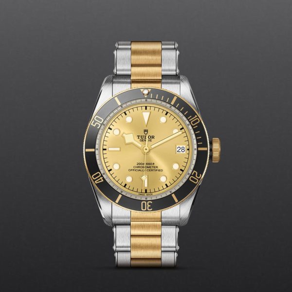 Black Bay | 79733N | Steel and Gold | M79733N-0004 | Tudor Official Retailer - Siam Swiss