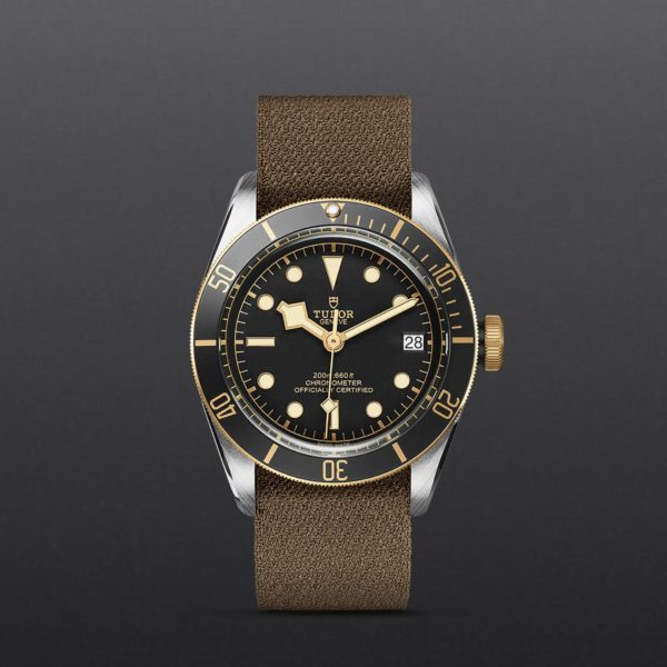 Black Bay | 79733N | Steel and Gold | M79733N-0005 | Tudor Official Retailer - Siam Swiss