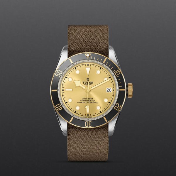 Black Bay | 79733N | Steel and Gold | M79733N-0006 | Tudor Official Retailer - Siam Swiss