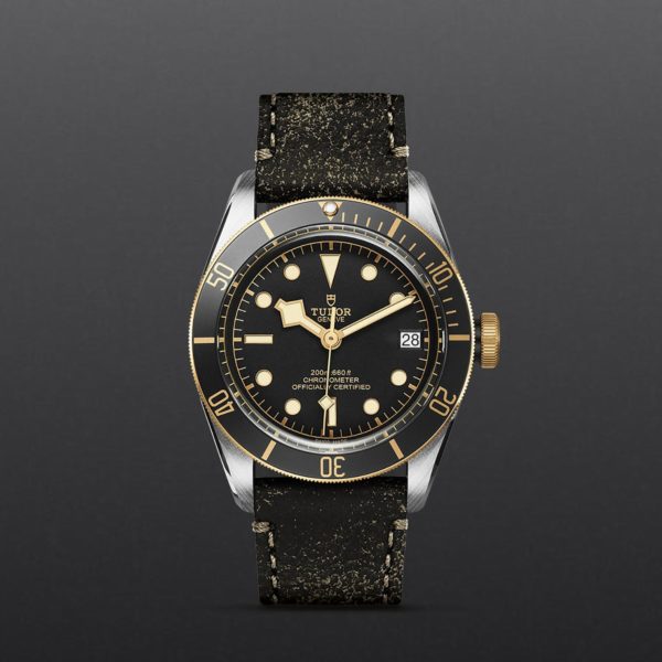 Black Bay | 79733N | Steel and Gold | M79733N-0007 | Tudor Official Retailer - Siam Swiss