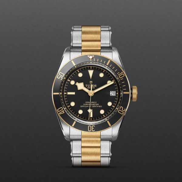 Black Bay | 79733N | Steel and Gold | M79733N-0008 | Tudor Official Retailer - Siam Swiss