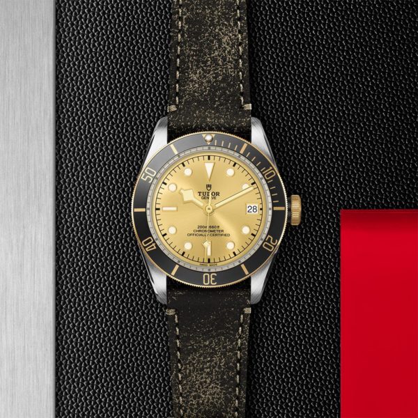 Black Bay | 79733N | Steel and Gold | M79733N-0003 | Tudor Official Retailer - Siam Swiss