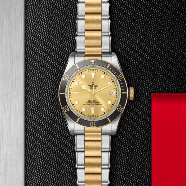 Black Bay | 79733N | Steel and Gold | M79733N-0004 | Tudor Official Retailer - Siam Swiss