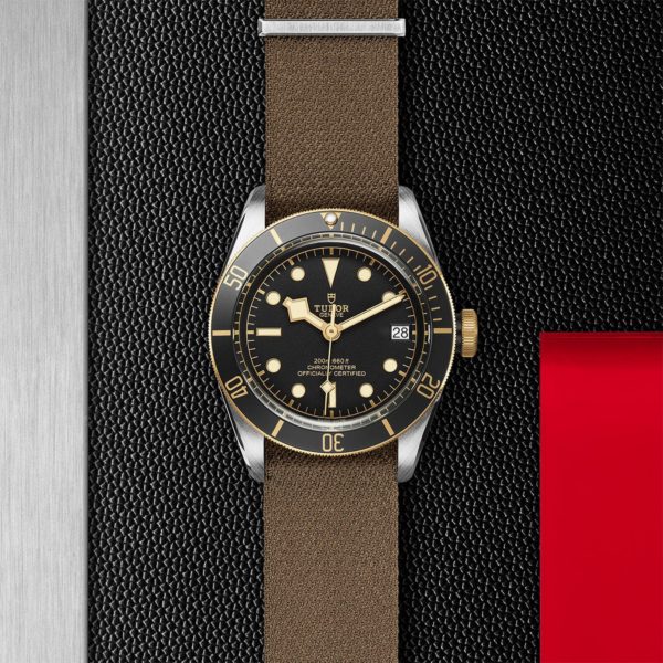 Black Bay | 79733N | Steel and Gold | M79733N-0005 | Tudor Official Retailer - Siam Swiss