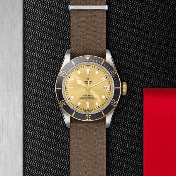 Black Bay | 79733N | Steel and Gold | M79733N-0006 | Tudor Official Retailer - Siam Swiss