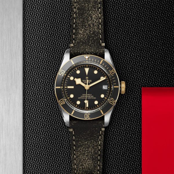 Black Bay | 79733N | Steel and Gold | M79733N-0007 | Tudor Official Retailer - Siam Swiss