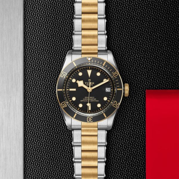 Black Bay | 79733N | Steel and Gold | M79733N-0008 | Tudor Official Retailer - Siam Swiss