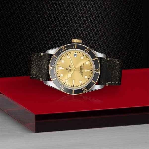 Black Bay | 79733N | Steel and Gold | M79733N-0003 | Tudor Official Retailer - Siam Swiss