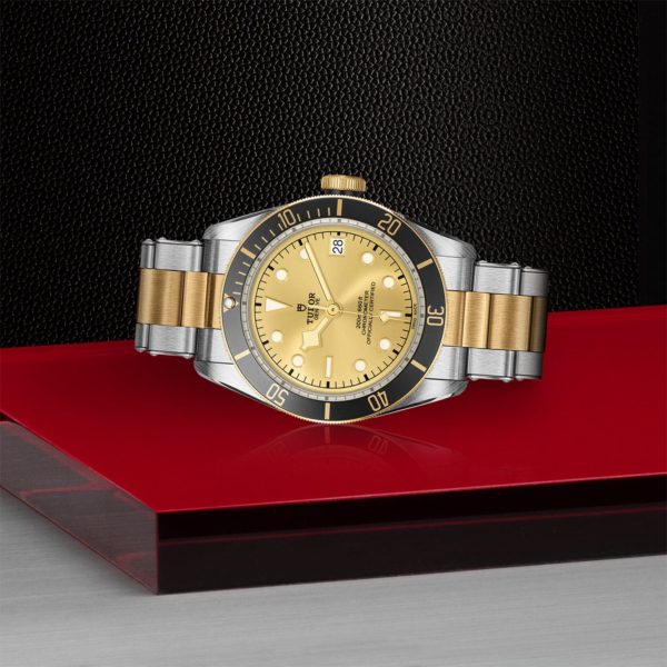 Black Bay | 79733N | Steel and Gold | M79733N-0004 | Tudor Official Retailer - Siam Swiss