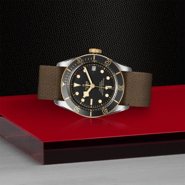 Black Bay | 79733N | Steel and Gold | M79733N-0005 | Tudor Official Retailer - Siam Swiss