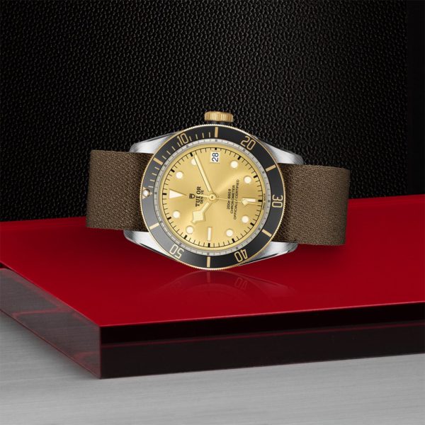 Black Bay | 79733N | Steel and Gold | M79733N-0006 | Tudor Official Retailer - Siam Swiss