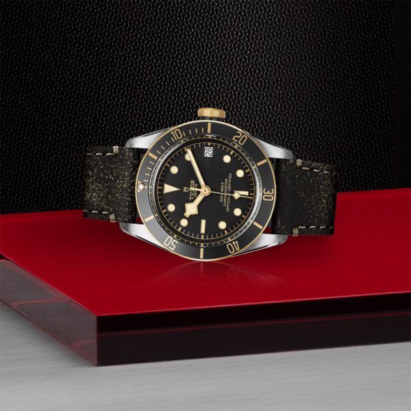 Black Bay | 79733N | Steel and Gold | M79733N-0007 | Tudor Official Retailer - Siam Swiss