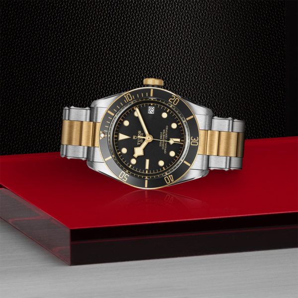 Black Bay | 79733N | Steel and Gold | M79733N-0008 | Tudor Official Retailer - Siam Swiss