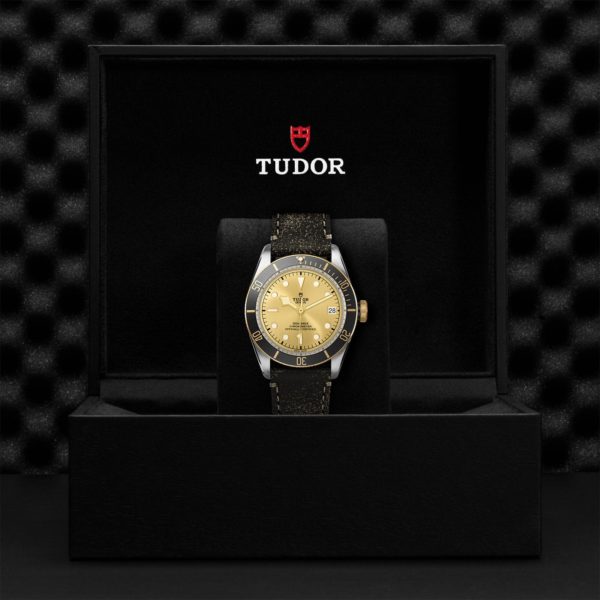 Black Bay | 79733N | Steel and Gold | M79733N-0003 | Tudor Official Retailer - Siam Swiss