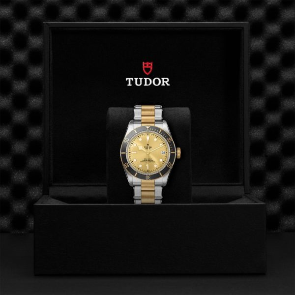 Black Bay | 79733N | Steel and Gold | M79733N-0004 | Tudor Official Retailer - Siam Swiss