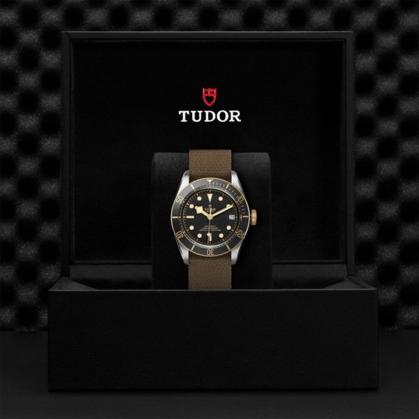 Black Bay | 79733N | Steel and Gold | M79733N-0005 | Tudor Official Retailer - Siam Swiss