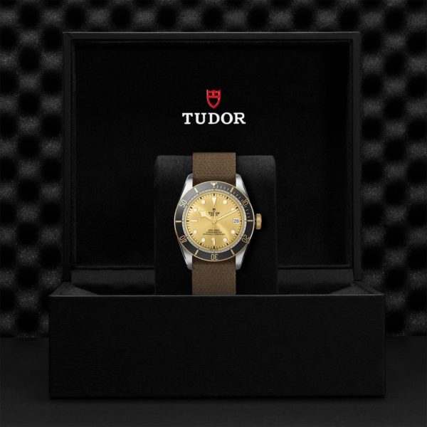 Black Bay | 79733N | Steel and Gold | M79733N-0006 | Tudor Official Retailer - Siam Swiss