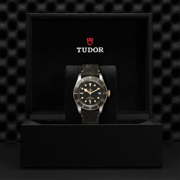 Black Bay | 79733N | Steel and Gold | M79733N-0007 | Tudor Official Retailer - Siam Swiss