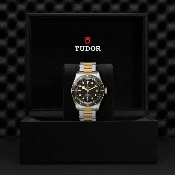 Black Bay | 79733N | Steel and Gold | M79733N-0008 | Tudor Official Retailer - Siam Swiss