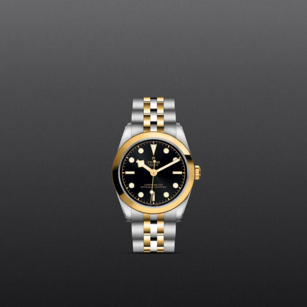 Black Bay 31/36/39/41 | 79603 | Steel and Gold | M79603-0001 | Tudor Official Retailer - Siam Swiss