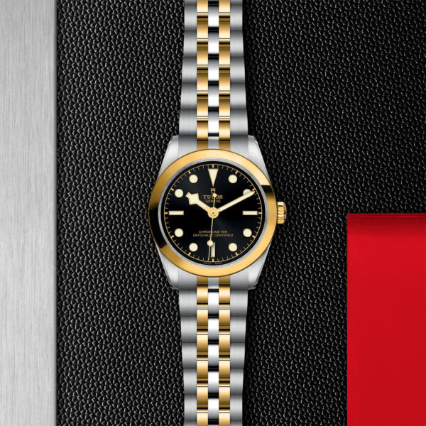 Black Bay 31/36/39/41 | 79603 | Steel and Gold | M79603-0001 | Tudor Official Retailer - Siam Swiss