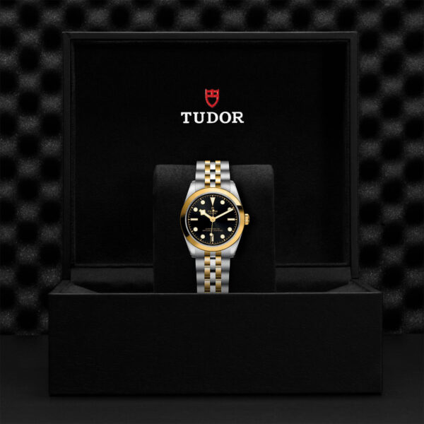 Black Bay 31/36/39/41 | 79603 | Steel and Gold | M79603-0001 | Tudor Official Retailer - Siam Swiss