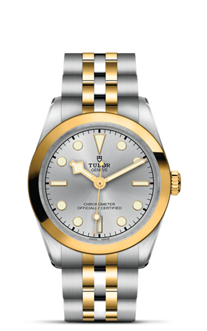 Black Bay 31/36/39/41 | 79603 | Steel and Gold | M79603-0002 | Tudor Official Retailer - Siam Swiss