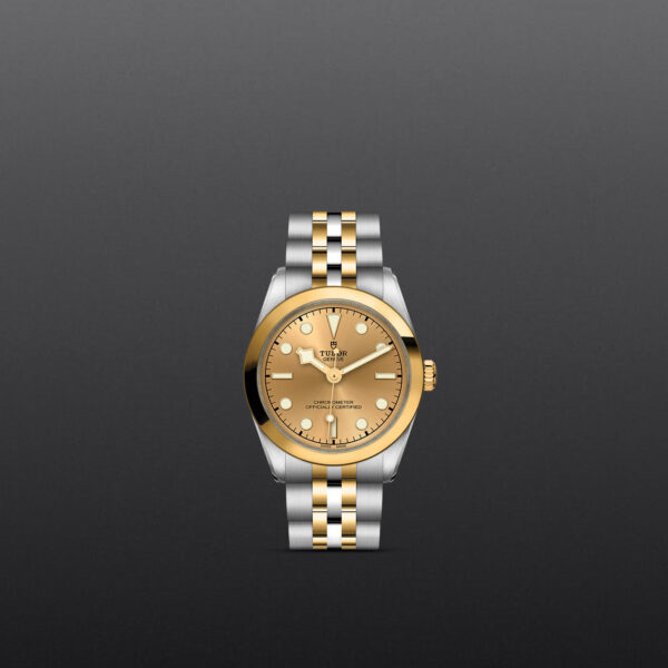 Black Bay 31/36/39/41 | 79603 | Steel and Gold | M79603-0005 | Tudor Official Retailer - Siam Swiss