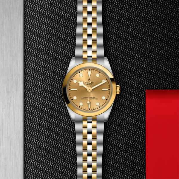 Black Bay 31/36/39/41 | 79603 | Steel and Gold | M79603-0005 | Tudor Official Retailer - Siam Swiss