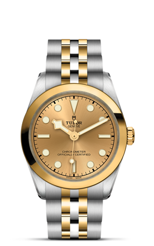 Black Bay 31/36/39/41 | 79603 | Steel and Gold | M79603-0005 | Tudor Official Retailer - Siam Swiss