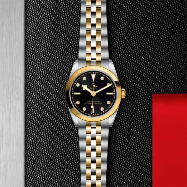 Black Bay 31/36/39/41 | 79603 | Steel and Gold | M79603-0006 | Tudor Official Retailer - Siam Swiss