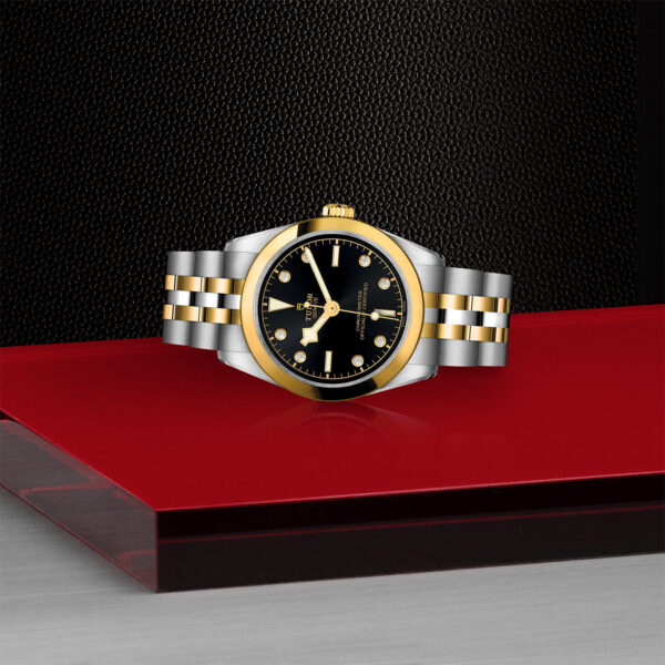 Black Bay 31/36/39/41 | 79603 | Steel and Gold | M79603-0006 | Tudor Official Retailer - Siam Swiss