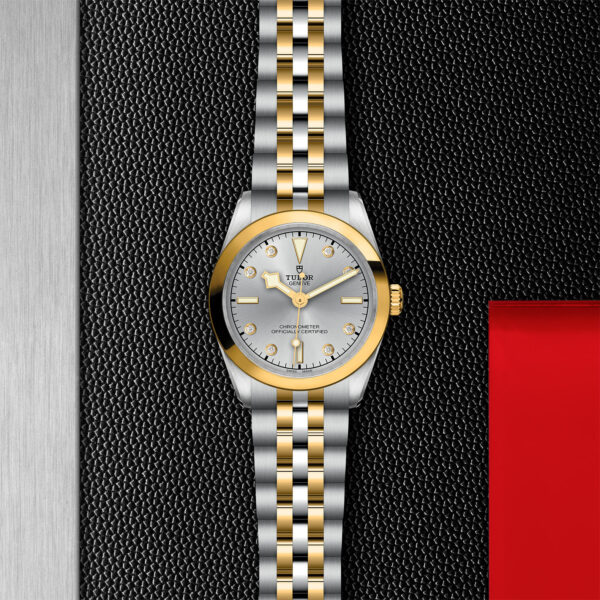 Black Bay 31/36/39/41 | 79603 | Steel and Gold | M79603-0007 | Tudor Official Retailer - Siam Swiss