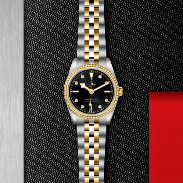 Black Bay 31/36/39/41 | 79613 | Steel and Gold | M79613-0005 | Tudor Official Retailer - Siam Swiss