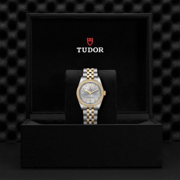 Black Bay 31/36/39/41 | 79613 | Steel and Gold | M79613-0006 | Tudor Official Retailer - Siam Swiss