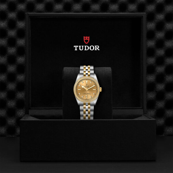 Black Bay 31/36/39/41 | 79613 | Steel and Gold | M79613-0007 | Tudor Official Retailer - Siam Swiss