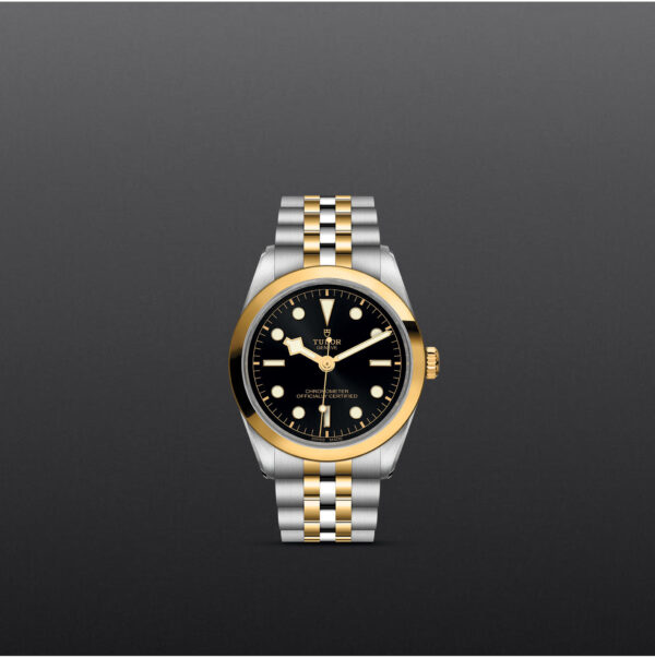 Black Bay 31/36/39/41 | 79643 | Steel and Gold | M79643-0001 | Tudor Official Retailer - Siam Swiss