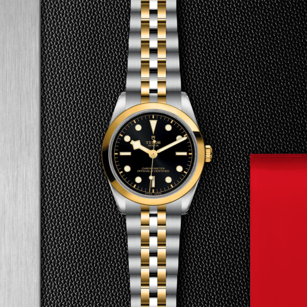 Black Bay 31/36/39/41 | 79643 | Steel and Gold | M79643-0001 | Tudor Official Retailer - Siam Swiss