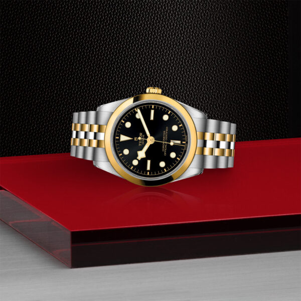 Black Bay 31/36/39/41 | 79643 | Steel and Gold | M79643-0001 | Tudor Official Retailer - Siam Swiss