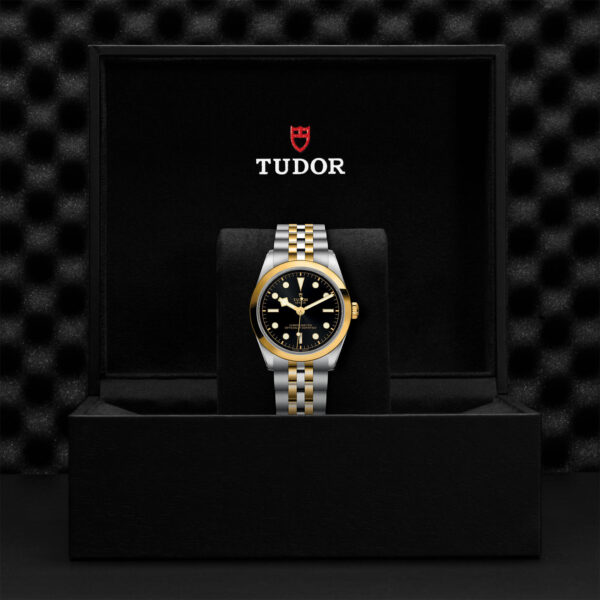 Black Bay 31/36/39/41 | 79643 | Steel and Gold | M79643-0001 | Tudor Official Retailer - Siam Swiss