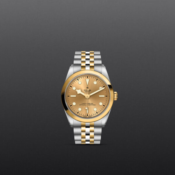 Black Bay 31/36/39/41 | 79643 | Steel and Gold | M79643-0005 | Tudor Official Retailer - Siam Swiss