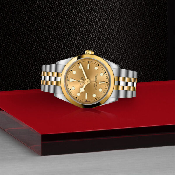 Black Bay 31/36/39/41 | 79643 | Steel and Gold | M79643-0005 | Tudor Official Retailer - Siam Swiss