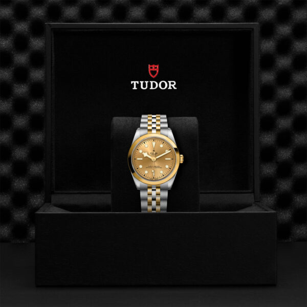 Black Bay 31/36/39/41 | 79643 | Steel and Gold | M79643-0005 | Tudor Official Retailer - Siam Swiss