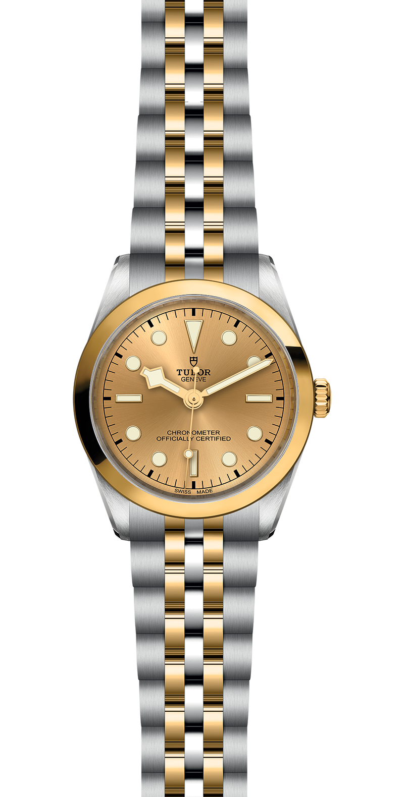 Black Bay 31/36/39/41 | 79643 | Steel and Gold | M79643-0005 | Tudor Official Retailer - Siam Swiss