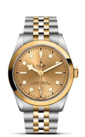 Black Bay 31/36/39/41 | 79643 | Steel and Gold | M79643-0005 | Tudor Official Retailer - Siam Swiss