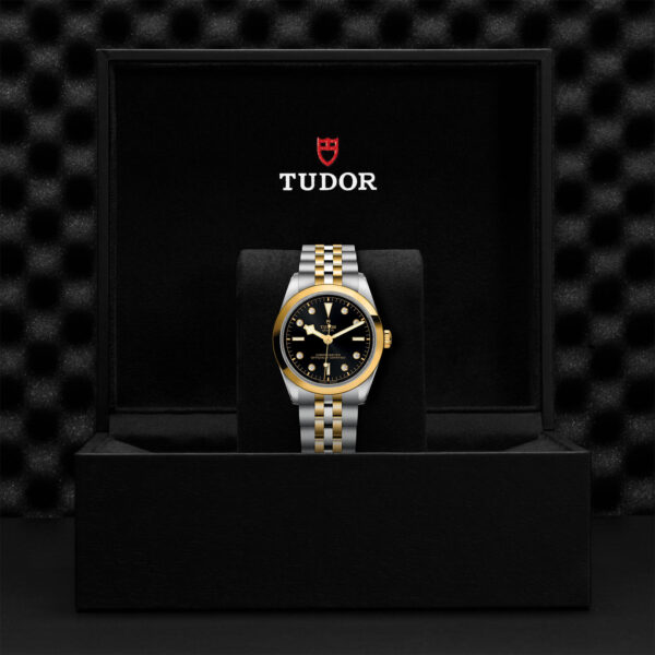 Black Bay 31/36/39/41 | 79643 | Steel and Gold | M79643-0006 | Tudor Official Retailer - Siam Swiss