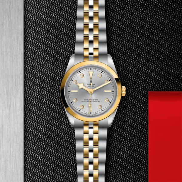 Black Bay 31/36/39/41 | 79643 | Steel and Gold | M79643-0007 | Tudor Official Retailer - Siam Swiss