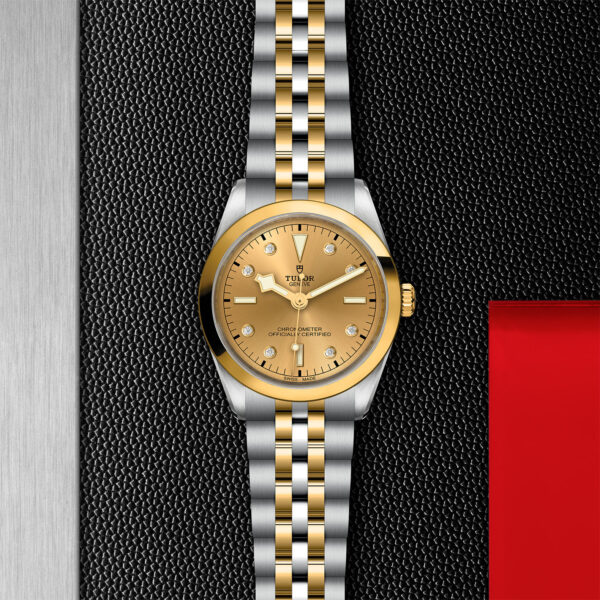 Black Bay 31/36/39/41 | 79643 | Steel and Gold | M79643-0008 | Tudor Official Retailer - Siam Swiss